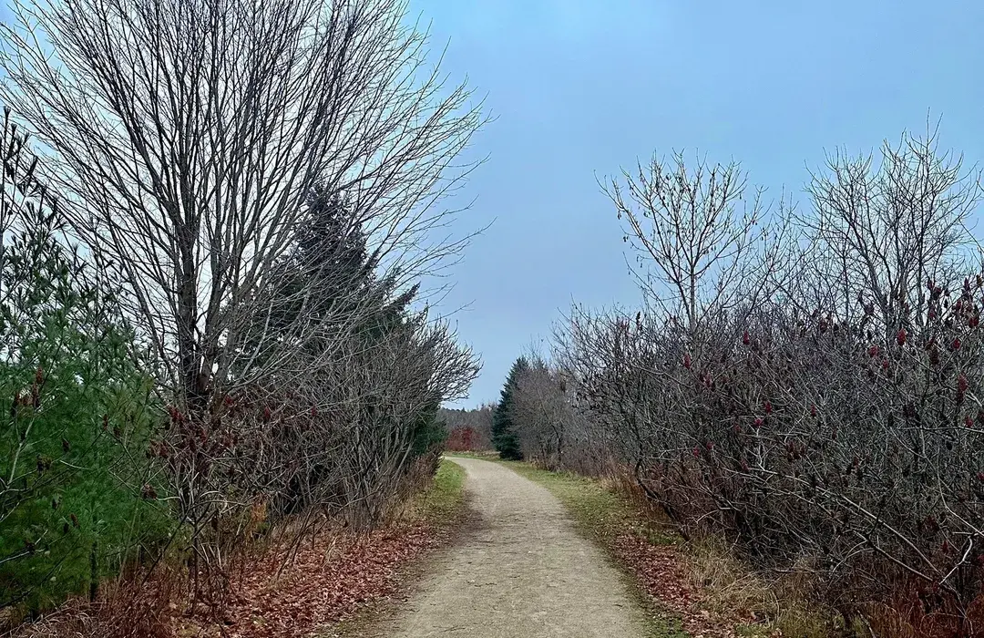 Kortright Hills & Hanlon Creek